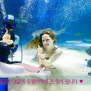거진해맞이봉산림욕장
