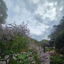 풀내음쉼터 이미지