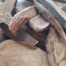 청강한의원 이미지