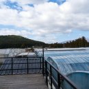 소나농장 이미지