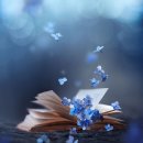 사주명리 이미지