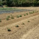 다현농장 이미지