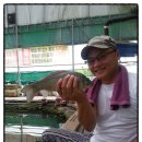 배내미낚시터 이미지