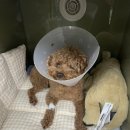 베스트메디칼 이미지