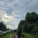 경주장 | 2025 영암모터피아 F1 전국마라톤대회 하프 따라간 후기 (+대회 기록)