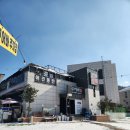 꾸어바666 | 점심맛집 / 안양쭈꾸미 / 안양애견동반식당] 갓성비 폭발! 캠핑 감성 가득한 '꾸어바666' 점심 주꾸미 후기