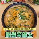 광주 신창동 맛집 매월흑염소 산동교직영점 후기