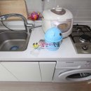 비즈트위트 그린 이미지