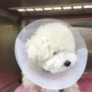 하누동물병원 이미지