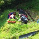 잣나무약수터 이미지