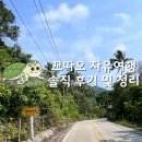 거북이의 섬 꼬따오 자유여행 솔직 후기 총정리