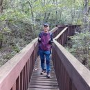 운곡생태습지길 1코스 이미지