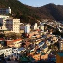 토성식육점 이미지