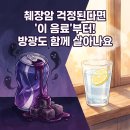 2020-861 | 5년 생존율 17% 췌장암의 경고… '단 음료' 끊기는 췌장뿐 아니라 '방광'도 살립니다