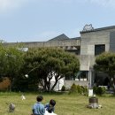 고영주택 | 김포 아이와가볼만한 곳, 유기묘 고양이카페 &lt;고영주택&gt;예약 후기