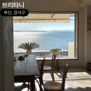 피터펫카페 가덕도점 | 부산 가덕도 느좋 카페 브리타니