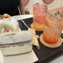 Biscuit 비스퀴 이미지