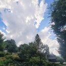 홈즈펫타운 이미지