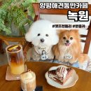 (주)녹원 | [녹원]양평애견동반카페 서울 근교 한옥 감성 펫프렌들리 카페 추천