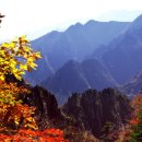 삼평동624-2 이미지