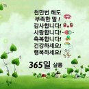 샬롬 Daum카페