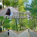 부귀 메타세쿼이아길 | 전북 진안 부귀 메타세쿼이아길 후기 주차장있음