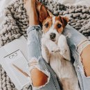 더편한동물병원 이미지