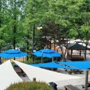 피크닉장 이미지