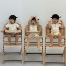 홈오브하이 | 차일드홈 에보짓 하이체어 사용 후기｜벨기에 원목 유아 식탁의자 추천
