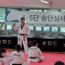 용인대필승태권도 이미지