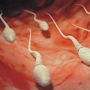 수비뇨의학과의원 이미지