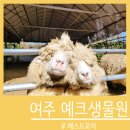 마중물 농장 | 내돈내산 l N번째 방문 예크 생물원 솔직 후기