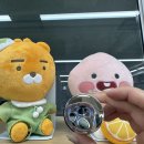 명품 면세쇼핑 사이트 지쿠 l 디올 프레스티지 르 쿠션 뗑 내돈내산