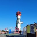 플로리다 대탄 이미지