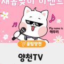 올리브영양천