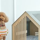 비원스튜디오 이미지