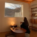 해뜰우