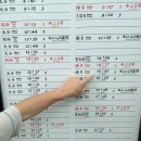 후쿠오카 근교여행 유후인 온천마을 둘러보기