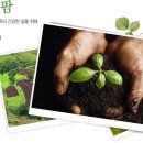 자연팜약국 이미지