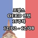 프랑스 OECD 인턴 16주 차 1202~1208_프랑스 마트 과자들, 오셩 로티세리 치킨, Sodebo 샐러드, 불로뉴...