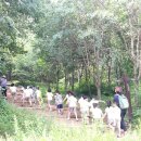 새소망어린이집 이미지