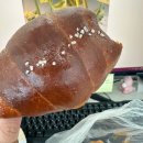 아림킨더하우스어린이집 | [순천 왕지 베이커리 카페] 순천 르꼬뮤네 -LF아울렛 베비에르 2호점