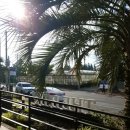 더비비스제주(The BB's JEJU) | [제주여행] 서귀포, 더비비스제주(The BB&#39;s Jeju) 펜션 숙박 리뷰