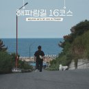 애견동반 트레킹 해파랑길 16코스 포항 구간 연오랑세오녀테마공원~흥환간이해수욕장