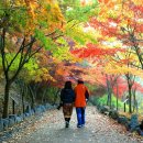 입곡군립공원(산림욕장) 이미지