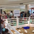 YoYo Land 이미지