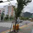 동일2차세탁소 네이버블로그