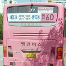 용신1교 서측 사거리 | 남양주 땡큐60번 도시형(공영) (대경대 서울한류캠퍼스-광릉테크노밸리-팔야리-광릉중-진벌리차-경복대...