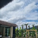 코스타리몬 이미지