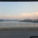 팔팔덤프 - 4696 | 팔팔덤프